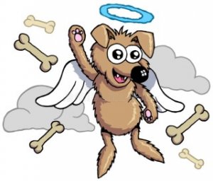 an angel dog with halo